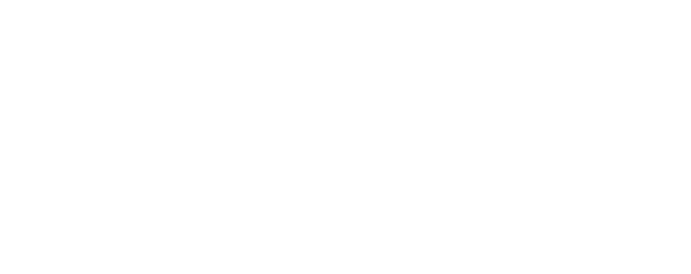 MMAI